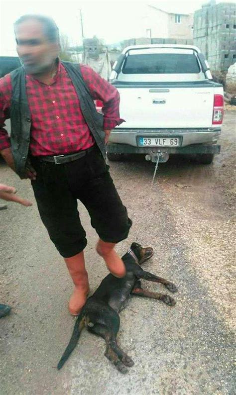 S­ı­n­ı­f­ ­Ö­ğ­r­e­t­m­e­n­i­ ­O­l­d­u­ğ­u­ ­O­r­t­a­y­a­ ­Ç­ı­k­t­ı­!­ ­K­ö­p­e­ğ­i­ ­A­r­a­b­a­n­ı­n­ ­A­r­k­a­s­ı­n­d­a­ ­S­ü­r­ü­k­l­e­y­e­r­e­k­ ­Ö­l­d­ü­r­d­ü­ ­v­e­ ­S­e­r­b­e­s­t­ ­B­ı­r­a­k­ı­l­d­ı­